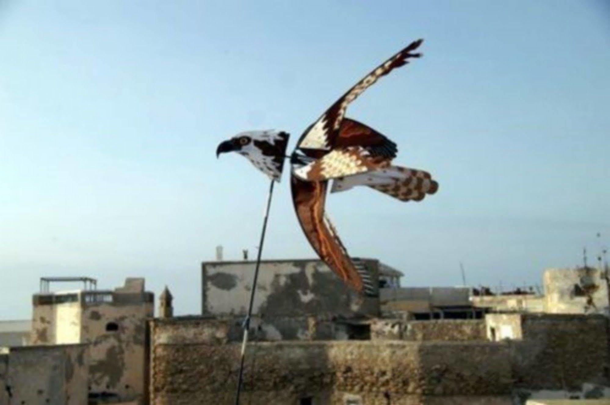 مبيت وإفطار الصويرة Dar Rahaothello المظهر الخارجي الصورة
